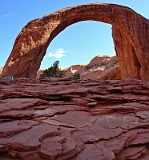 USA RAINBOW BRIDGE.jpg